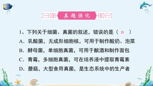 人教版八年级生物上册5.4《细菌和真菌》复习课件（含31张ppt）