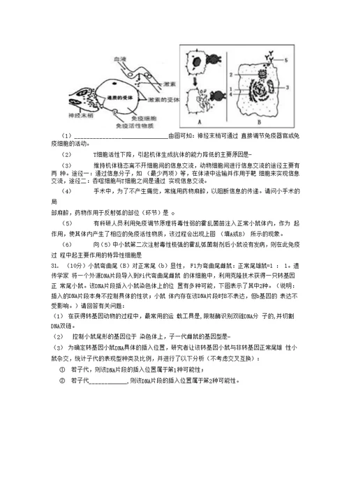 理综生物训练题