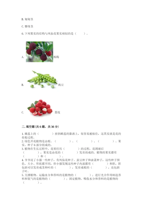 教科版四年级下册科学第一单元《植物的生长变化》测试卷（精华版）.docx