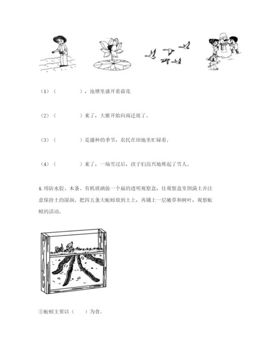 教科版科学二年级上册期末考试试卷【模拟题】.docx