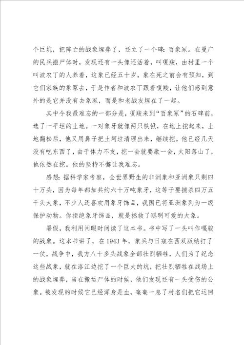 最后一头战象读后感小学作文500字