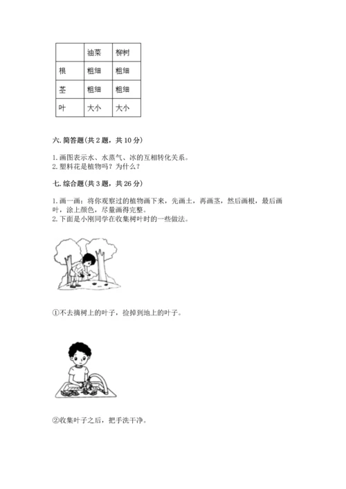 教科版科学一年级上册第一单元《植物》测试卷含完整答案（名师系列）.docx