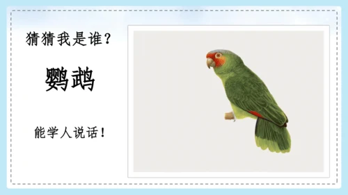 统编版语文二年级上册 课文1  口语交际 有趣的动物  课件