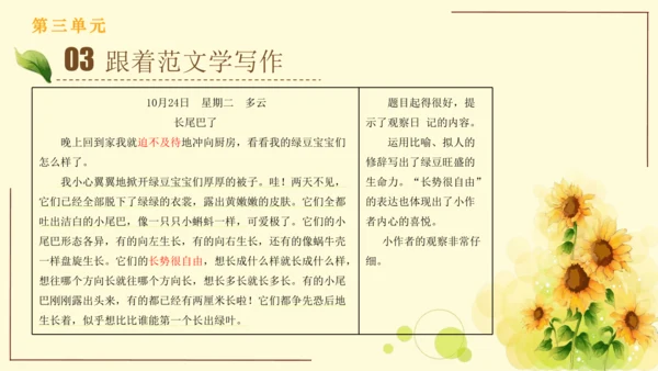 统编版语文四年级上册2024-2025学年度第三单元习作： 写观察日记（课件）