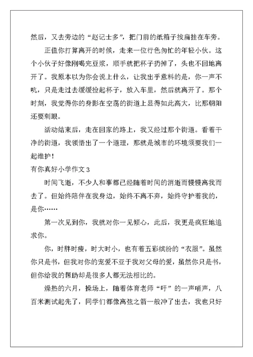 2022年有你真好小学作文(精选15篇)