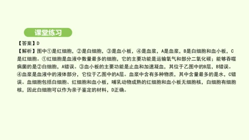 第四单元-第四章-第一节-流动的组织——血液课件-2024-2025学年七年级生物下学期人教版(20