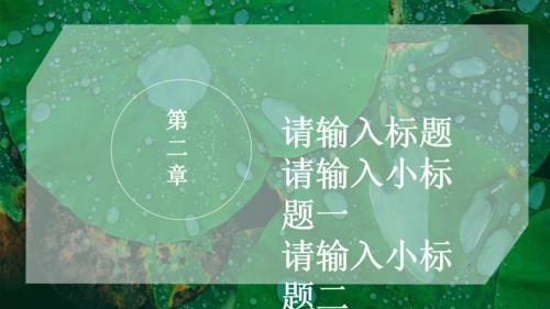 绿色荷叶大暑节气通用PPT模板