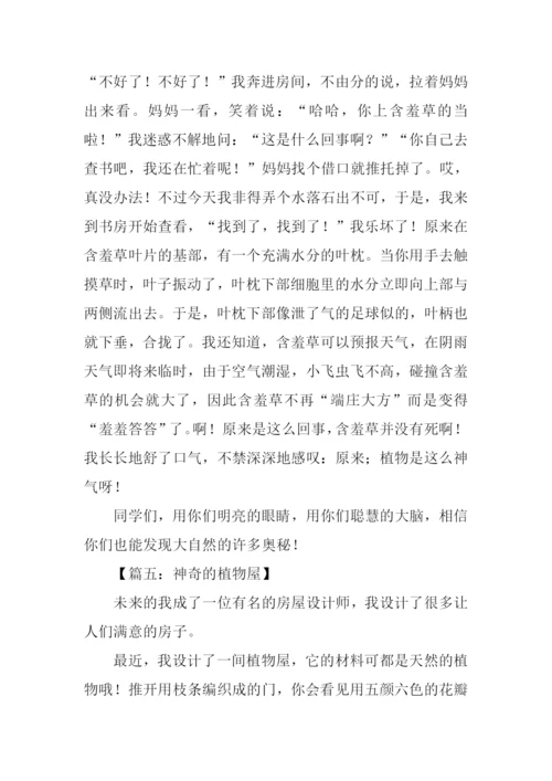 神奇的植物作文.docx