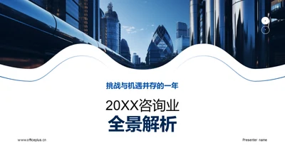 20XX咨询业全景解析