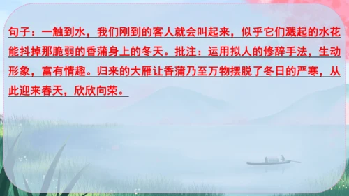 19《大雁归来》课件
