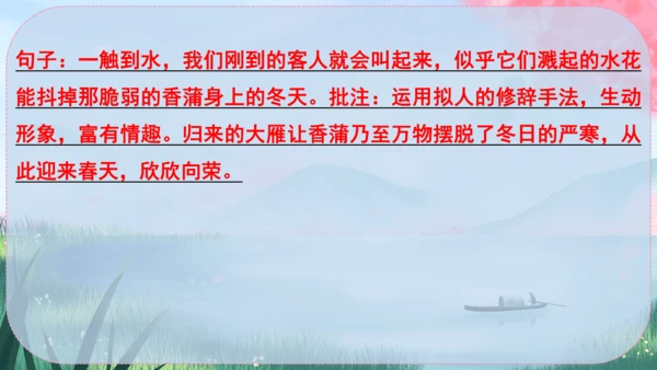 19《大雁归来》课件