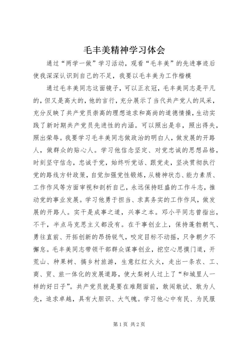 毛丰美精神学习体会.docx