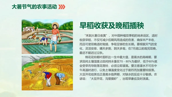 国风荷花二十四节气大暑教学PPT课件