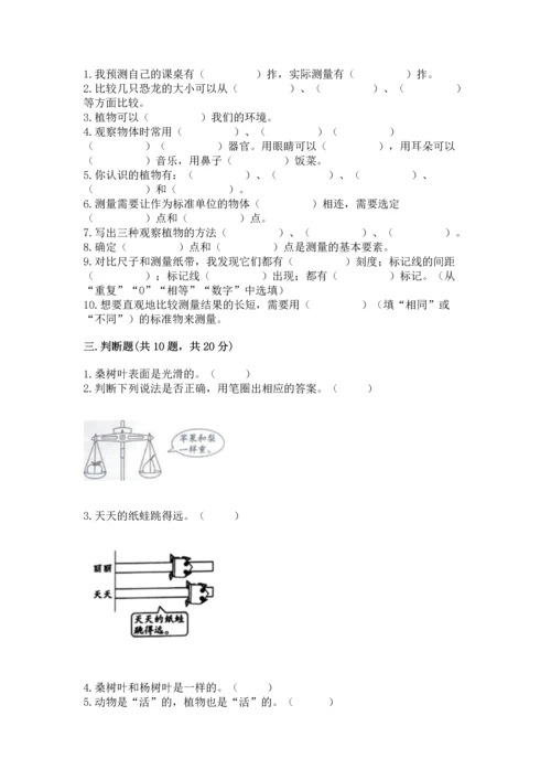 教科版小学一年级上册科学期末测试卷附参考答案（轻巧夺冠）.docx