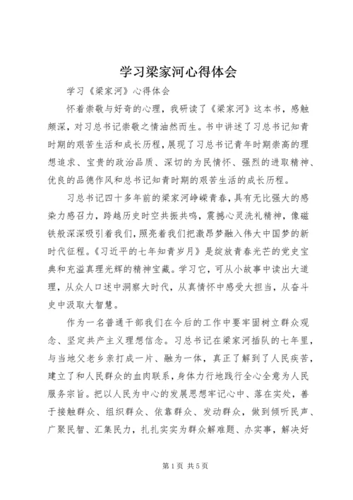 学习梁家河心得体会 (5).docx