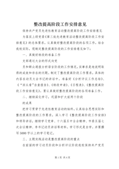 整改提高阶段工作安排意见 (4).docx