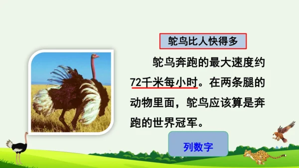 7 什么比猎豹的速度更快 第二课时 课件