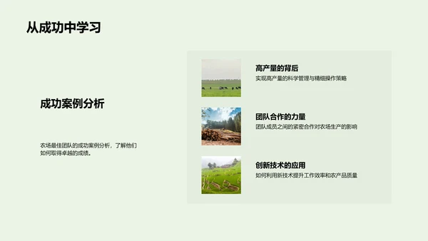 优秀团队年度汇报