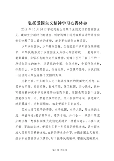 弘扬爱国主义精神学习心得体会 (2).docx