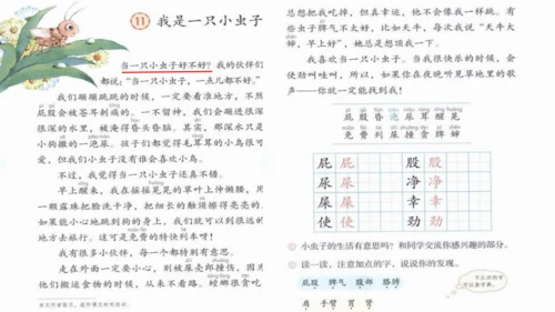 《11.我是一只小虫子》第一课时 课件