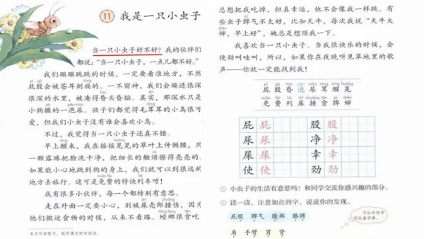 《11.我是一只小虫子》第一课时 课件