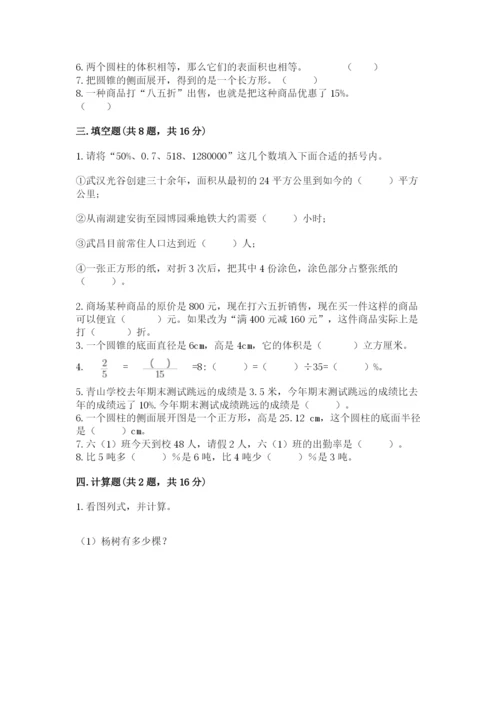 北京版六年级下册数学期中测试卷（培优b卷）.docx
