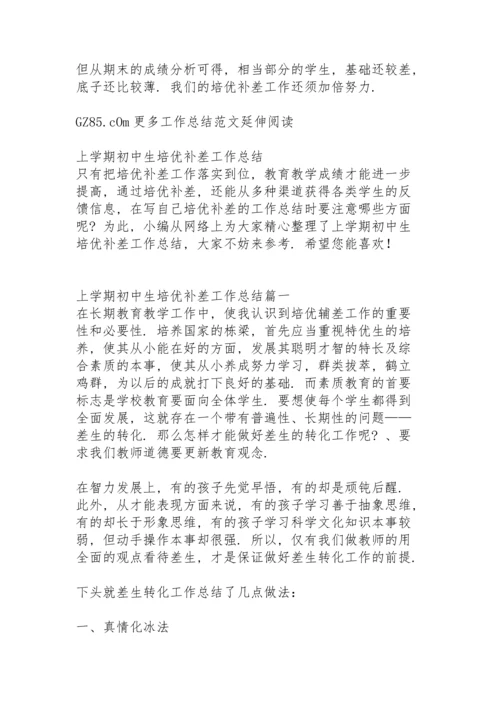 初中教师上学期培优补差工作总结秋季.docx