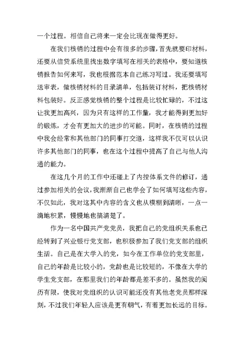 银行新员工试用期工作总结范文