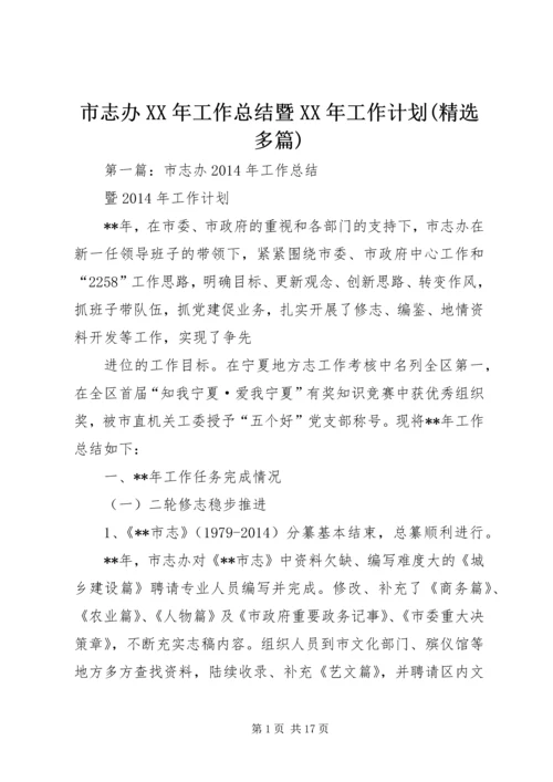 市志办XX年工作总结暨XX年工作计划(精选多篇).docx