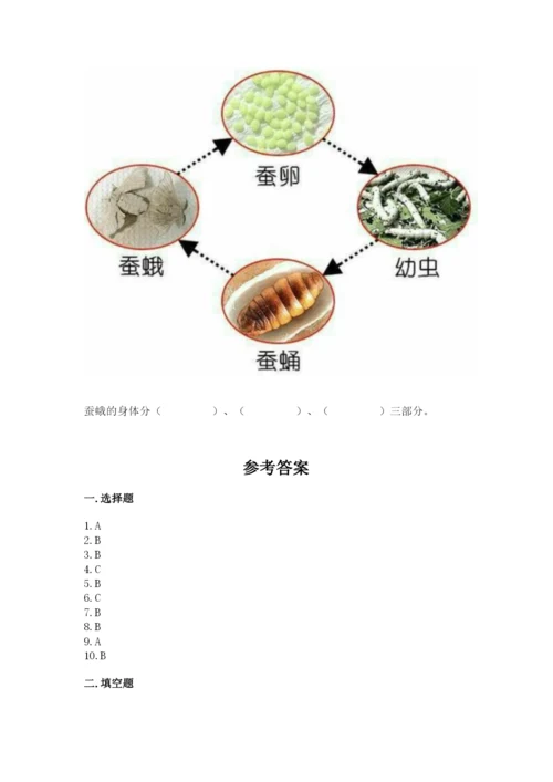 教科版科学三年级下册期末测试卷（名师推荐）.docx