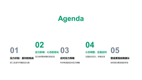 学习压力解析报告PPT模板