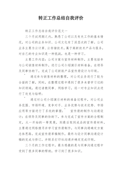 转正工作总结自我评价.docx