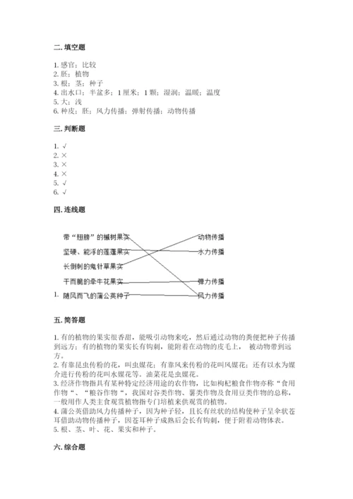 教科版科学四年级下册第一单元《植物的生长变化》测试卷（各地真题）.docx