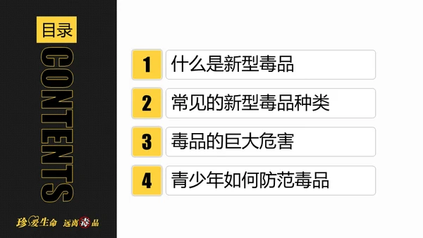 全民禁毒健康生活通用PPT模板