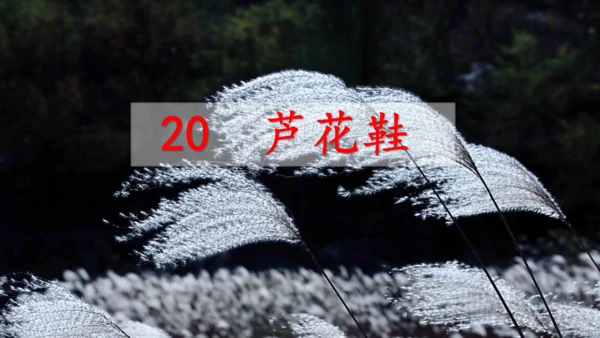 21《芦花鞋》课件