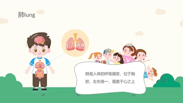蓝色卡通幼儿园课件身体器官知多少幼儿园医学科普PPT模板