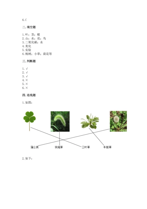 教科版科学一年级上册第一单元《植物》测试卷及答案【易错题】.docx