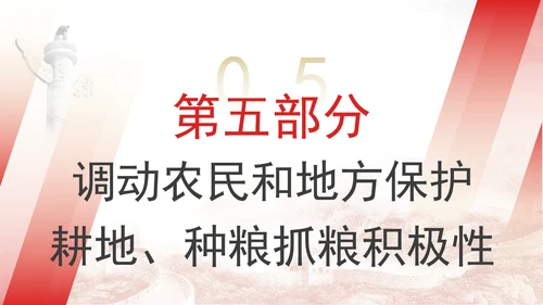 关于加强耕地保护提升耕地质量完善占补平衡的意见全文学习PPT课件