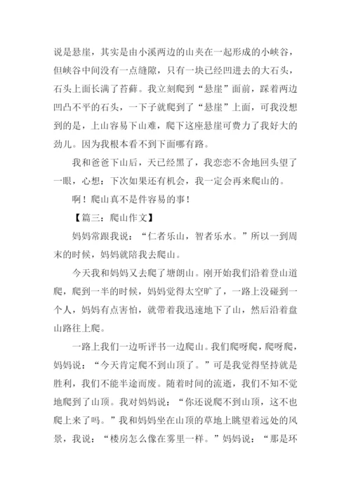 小学生爬山作文.docx