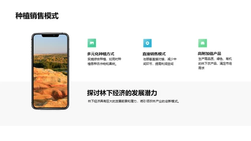 林下经济探析