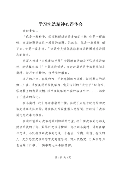 学习沈浩精神心得体会 (5).docx