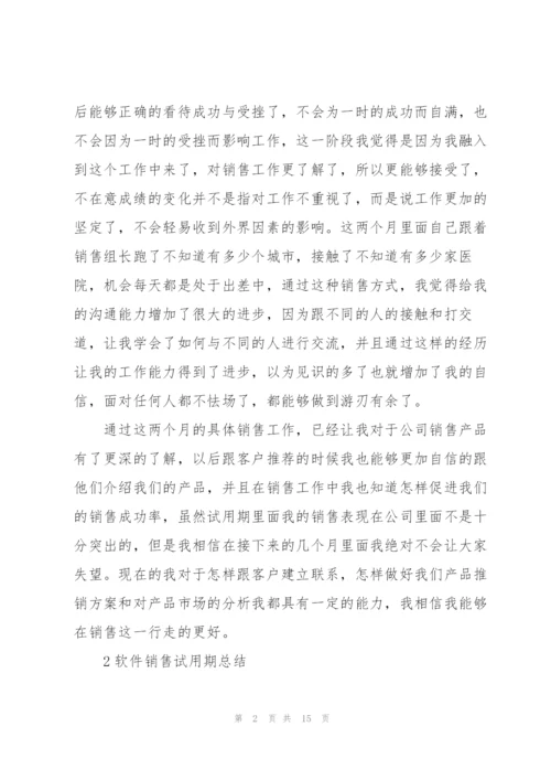 软件销售试用期总结范本5篇.docx