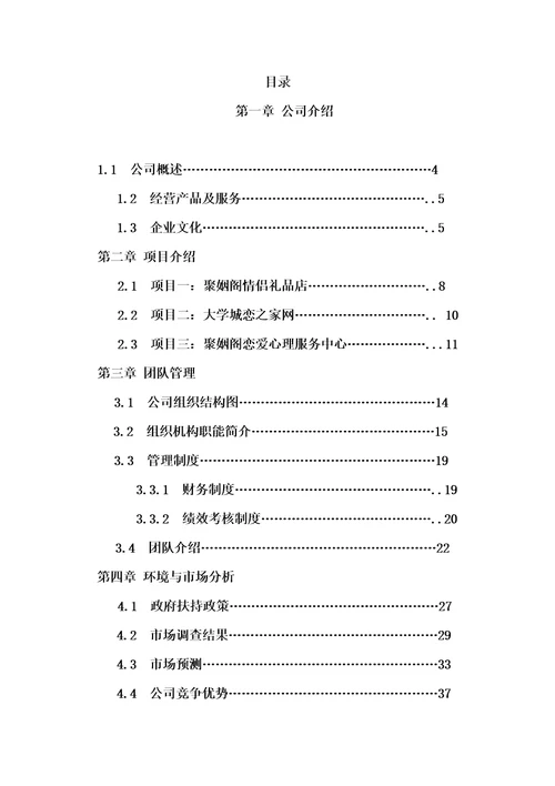 某公司团队创业商业策划书document73页