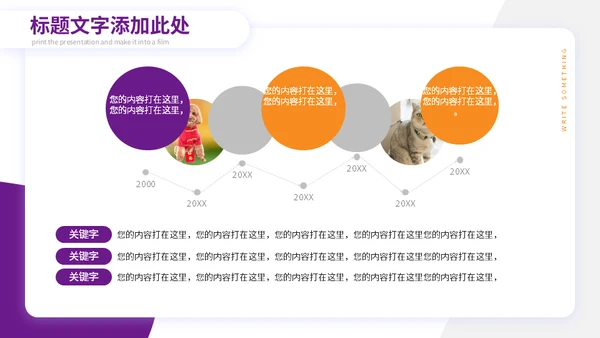 宠物小狗狗泰迪犬通用PPT模板