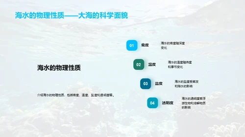 海洋环境全解析