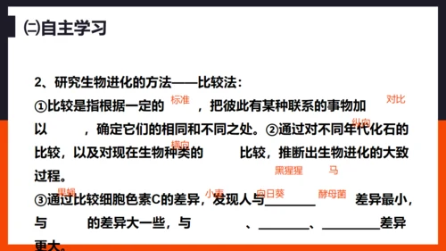 生命起源和生物进化企鹅通用PPT模板