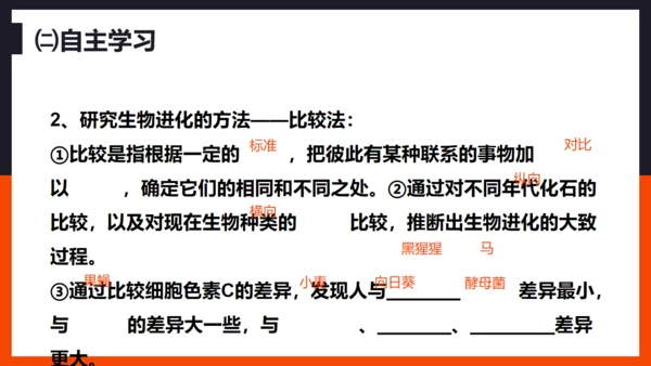 生命起源和生物进化企鹅通用PPT模板
