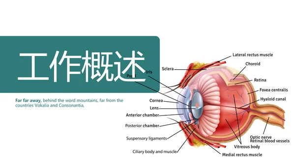 医疗眼科学动态PPT