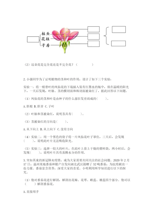 科学四年级下册第一单元植物的生长变化测试卷（实用）.docx