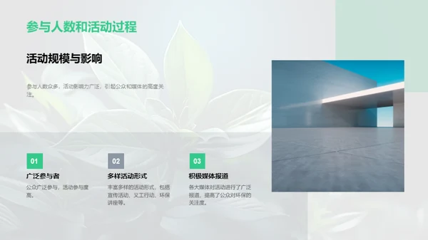 环保公益：影响与实践